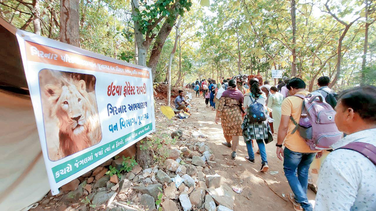 ગિરનારની લીલી પરિક્રમાની એક દિવસ પહેલાં જ શરૂઆત થઈ હતી