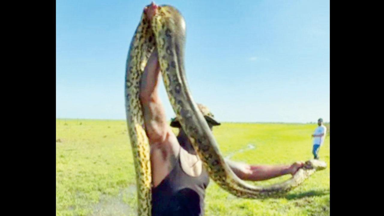 તસવીર સૌજન્ય : સોશ્યલ મીડિયા