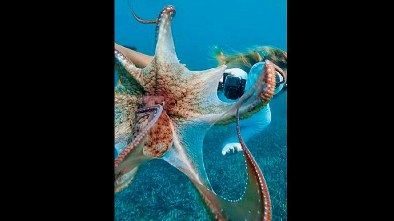 તસવીર સૌજન્ય : સોશ્યલ મીડિયા