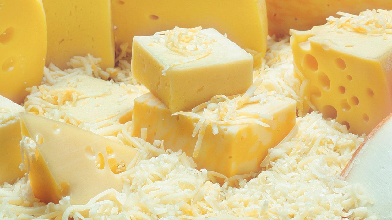 પ્રતીકાત્મક તસવીર