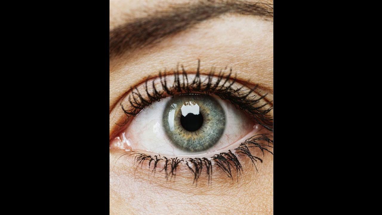 પ્રતીકાત્મક તસવીર