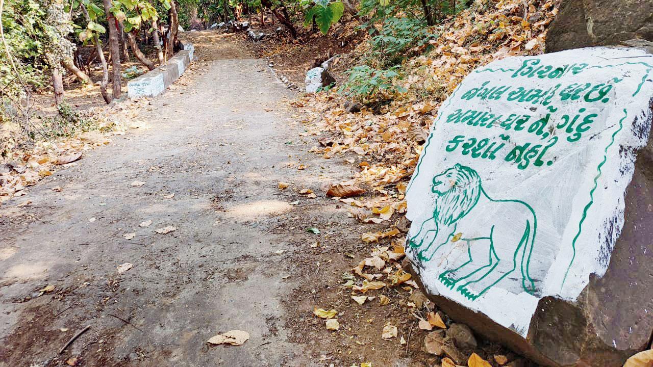 વન વિભાગ દ્વારા લીલી પરિક્રમાના માર્ગ પર પ્રકૃતિના જતન સહિતના સંદેશ આપતાં સાઇન બોર્ડ અને હોર્ડિંગ્સ લગાવ્યાં છે