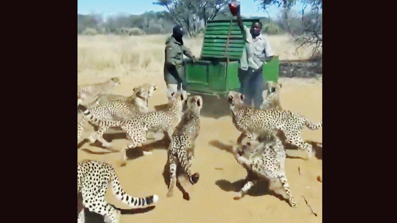 દુનિયાની આ સૌથી ખતરનાક જૉબ