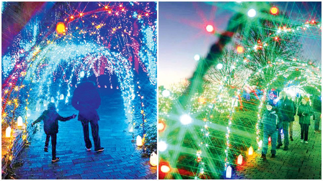 કલરફુલ લાઇટથી ઝગમગ્યું ગાર્ડન