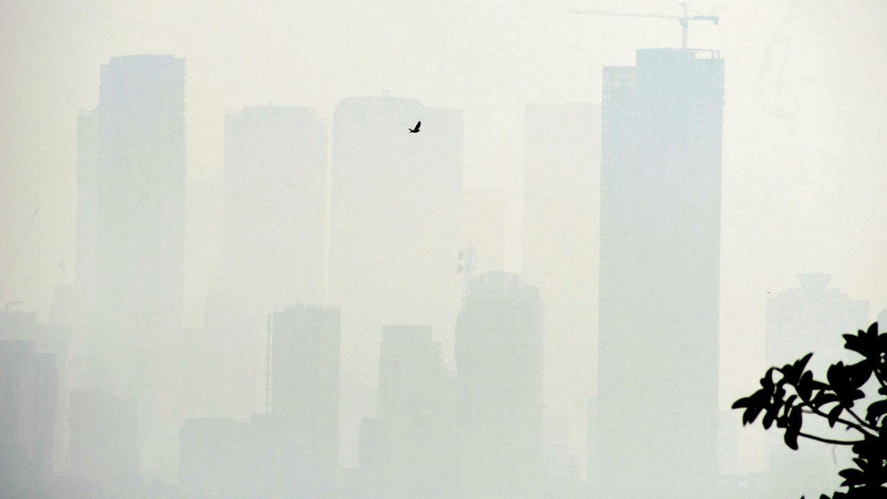 ફાઇલ તસવીર