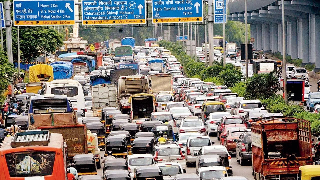 ફાઈલ ફોટો