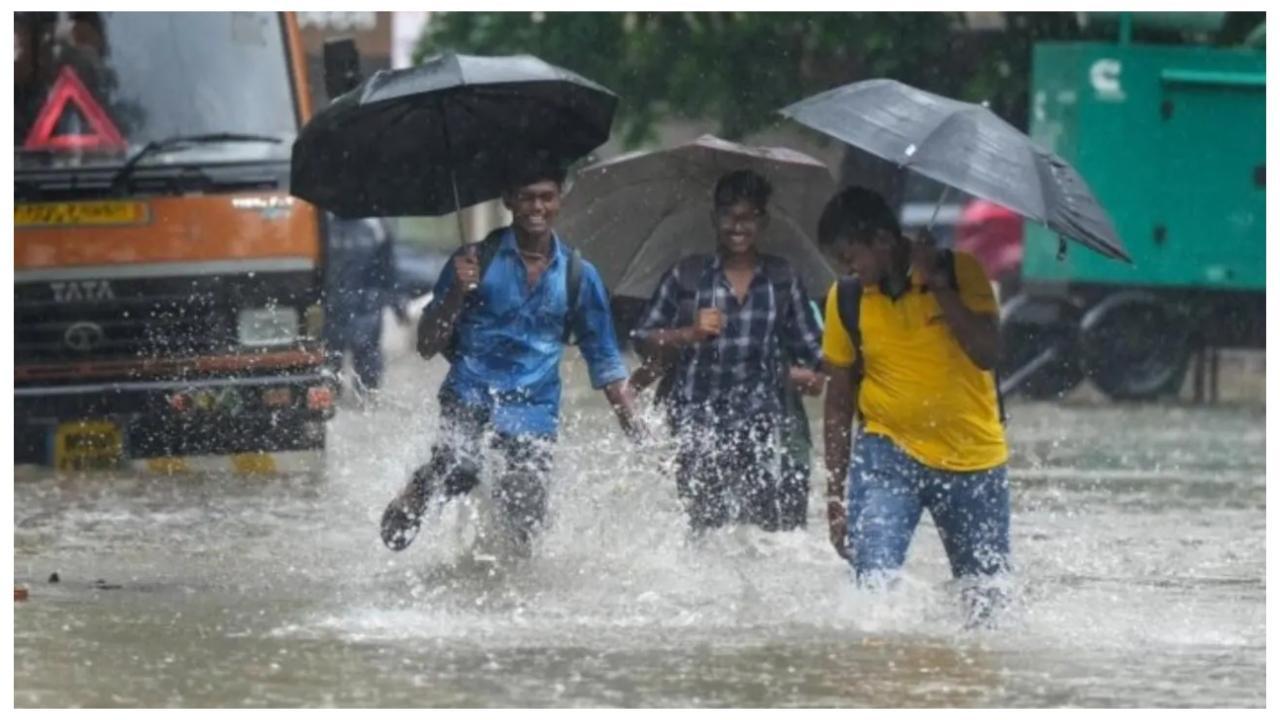 તસવીર: PTI