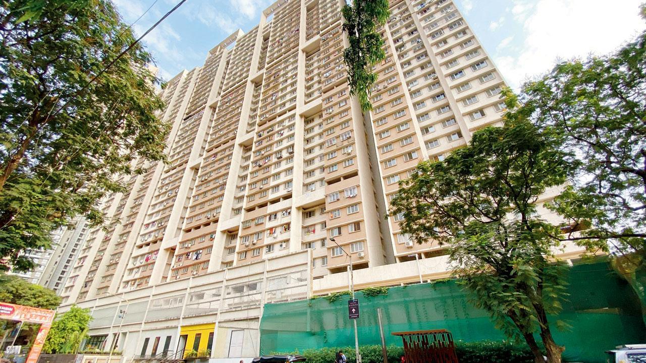 પ્રતીકાત્મક તસવીર