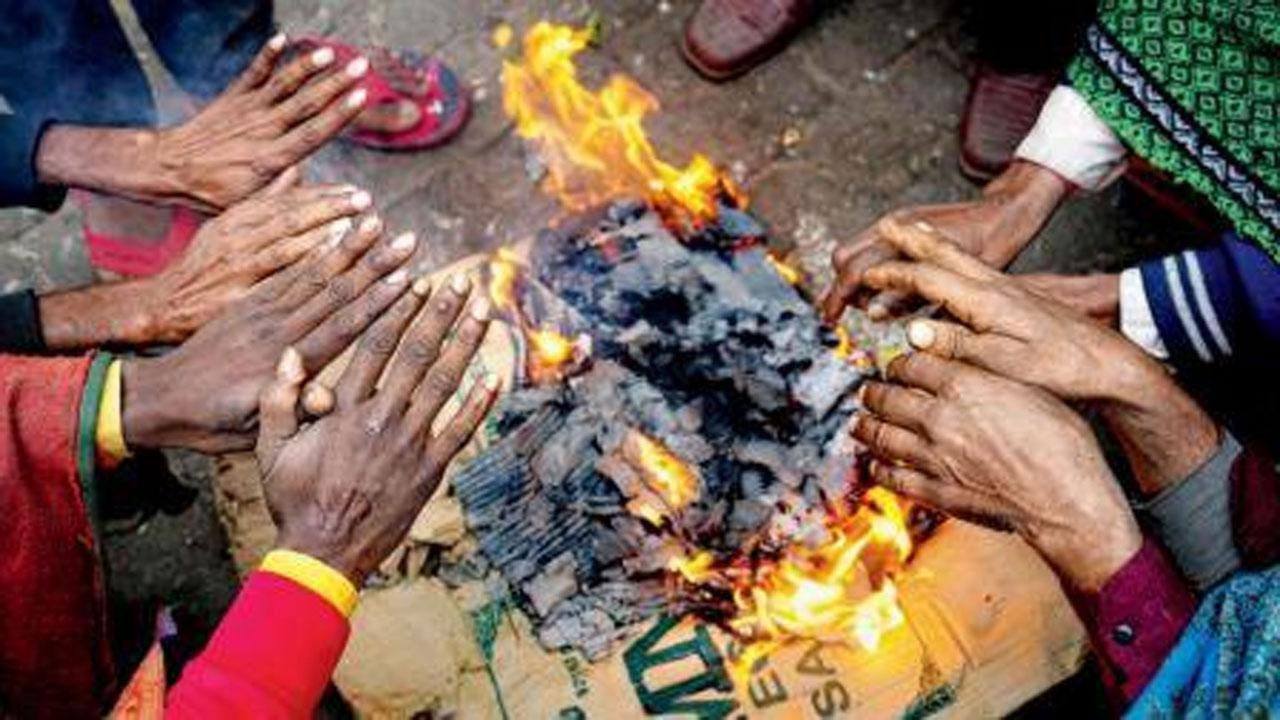 તાપણાંની ફાઇલ તસવીર