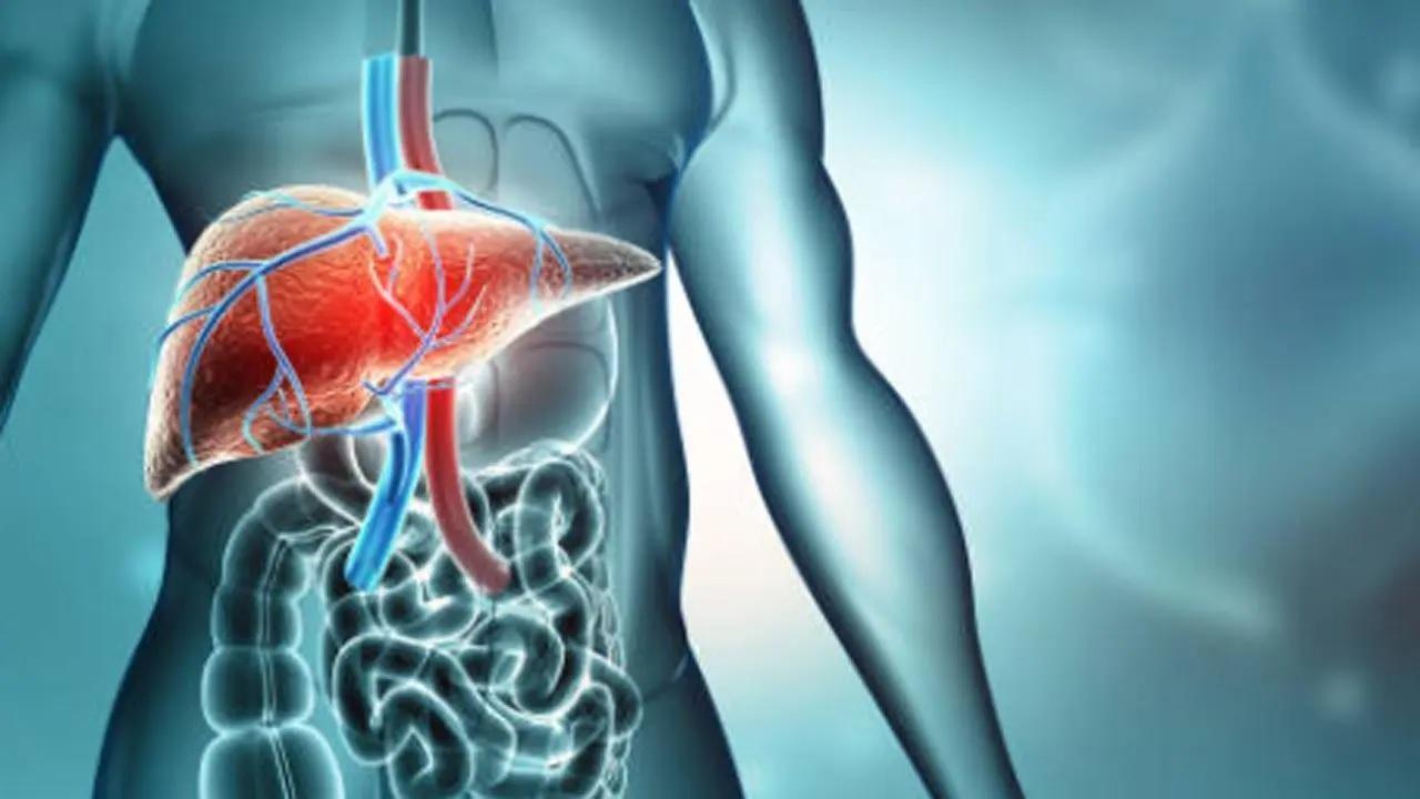 પ્રતીકાત્મક તસવીર