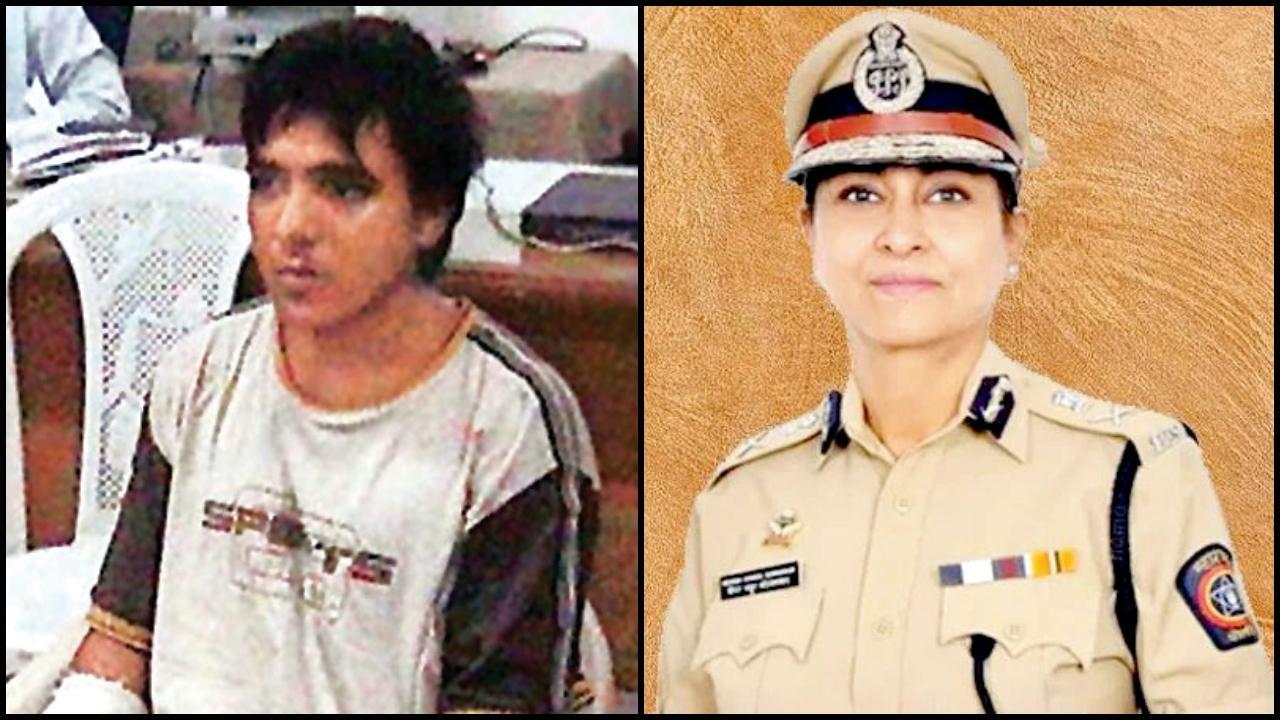 કસાબ, મીરા બોરવણકર