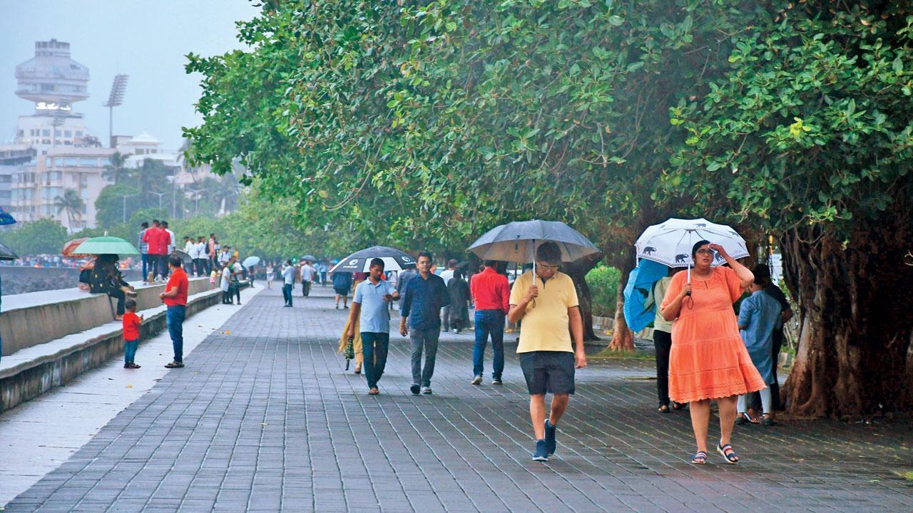 ફાઇલ તસવીર