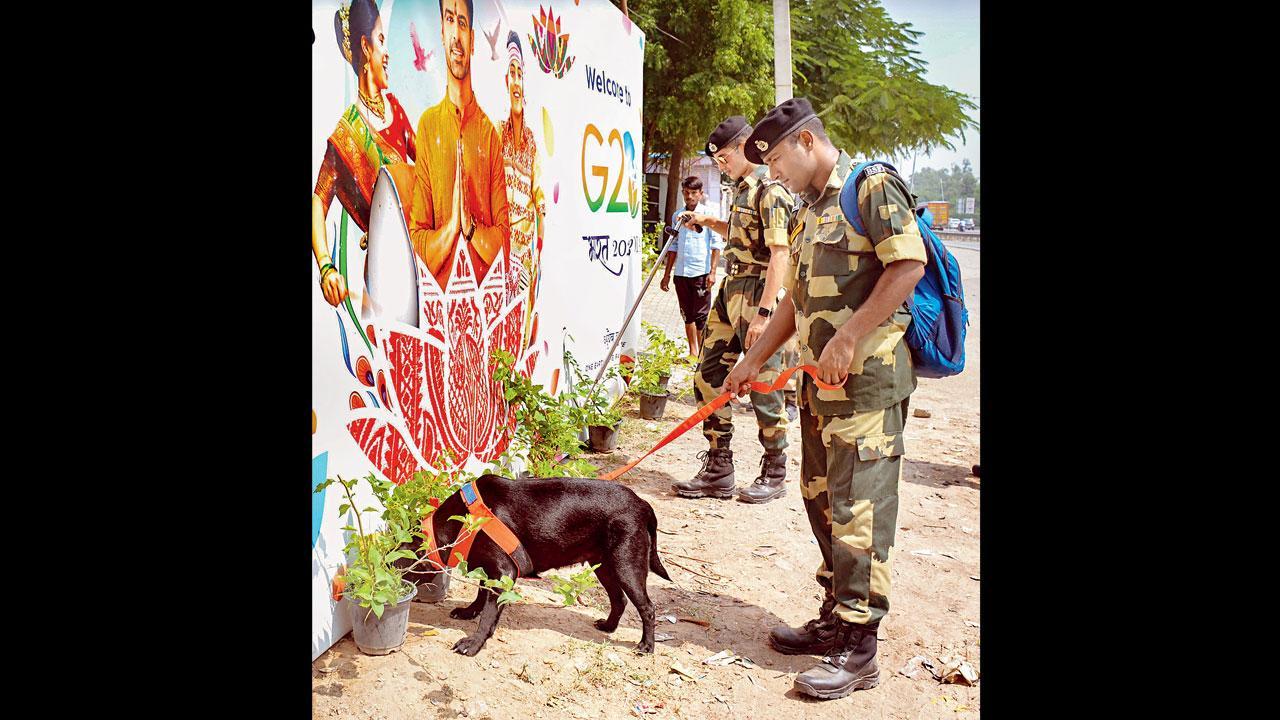 ગુરુગ્રામમાં G20 સમિટ માટેની તૈયારીના ભાગરૂપે સિરહૌલ ટોલ પ્લાઝા પાસે દિલ્હી-ગુરુગ્રામ બૉર્ડર પર ગઈ કાલે સિક્યૉરિટી તપાસ કરી રહેલા સ્નિફર ડૉગ સાથે બૉર્ડર સિક્યૉરિટી ફોર્સનો જવાન (તસવીર : પી.ટી.આઇ.)