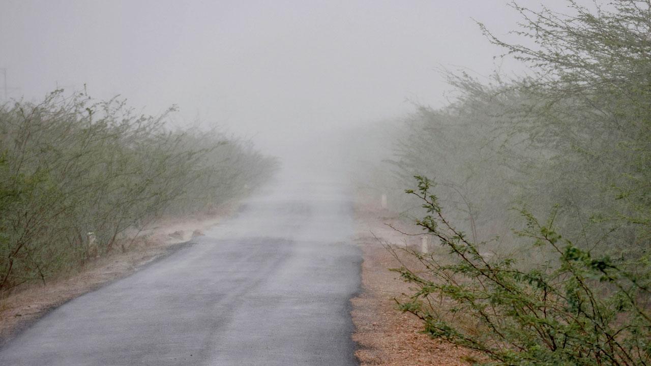 ફાઇલ તસવીર