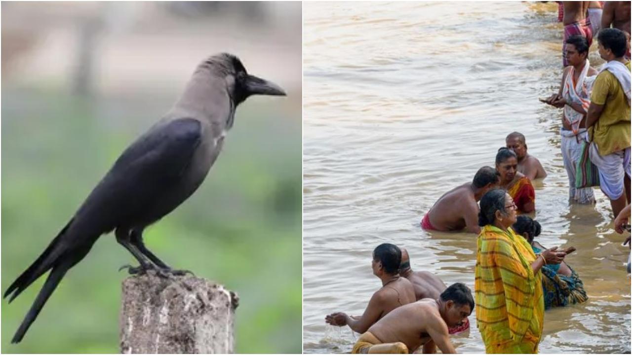 પ્રતિકાત્મક ફાઇલ તસવીર
