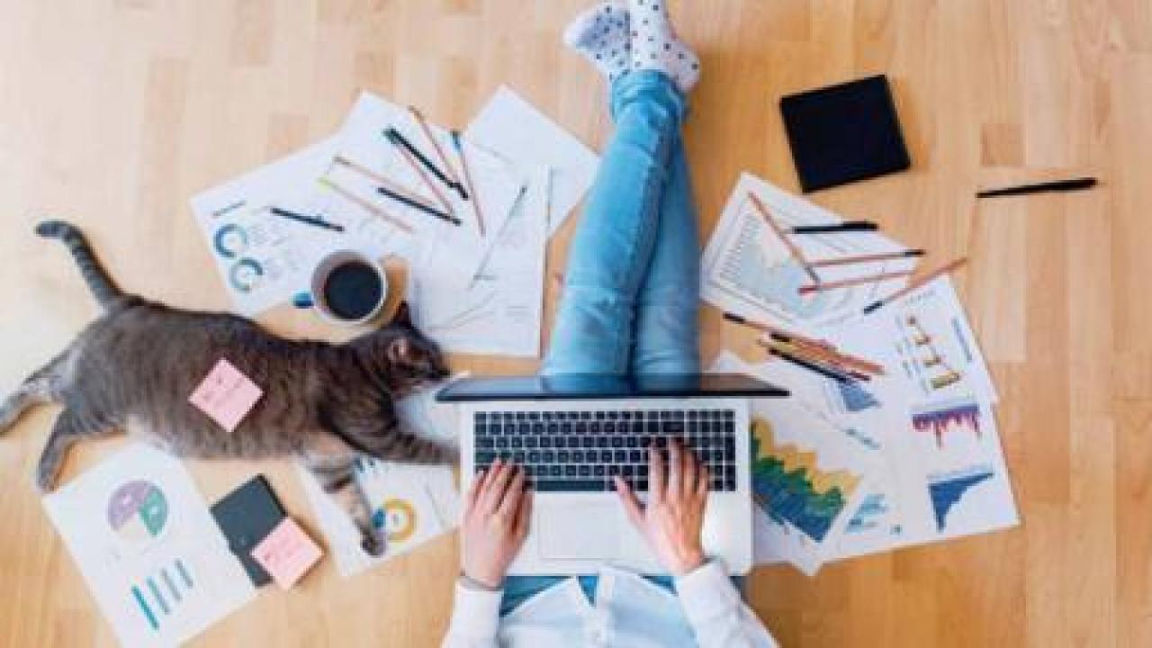 પ્રતીકાત્મક તસવીર