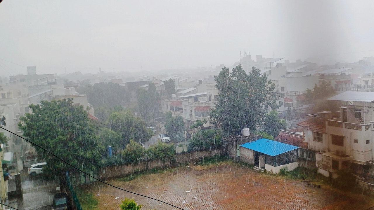 ફાઇલ તસવીર