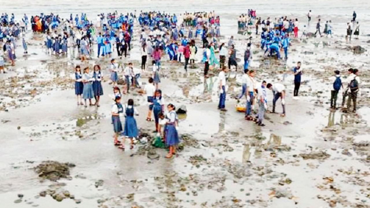 ઉત્તન બીચ પર સફાઈ કરી રહેલા સ્વયંસેવકો અને સ્કૂલના વિદ્યાર્થીઓ