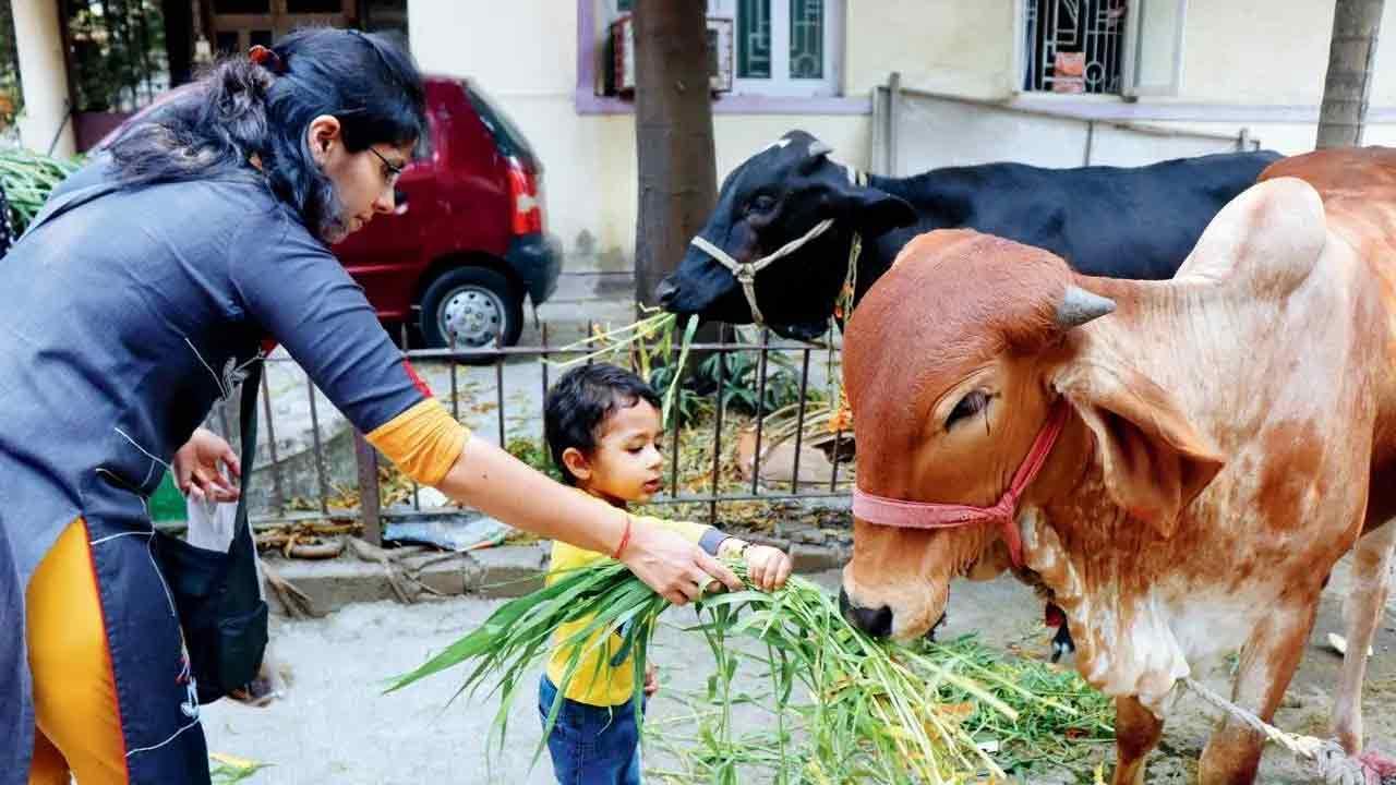 ફાઈલ તસવીર