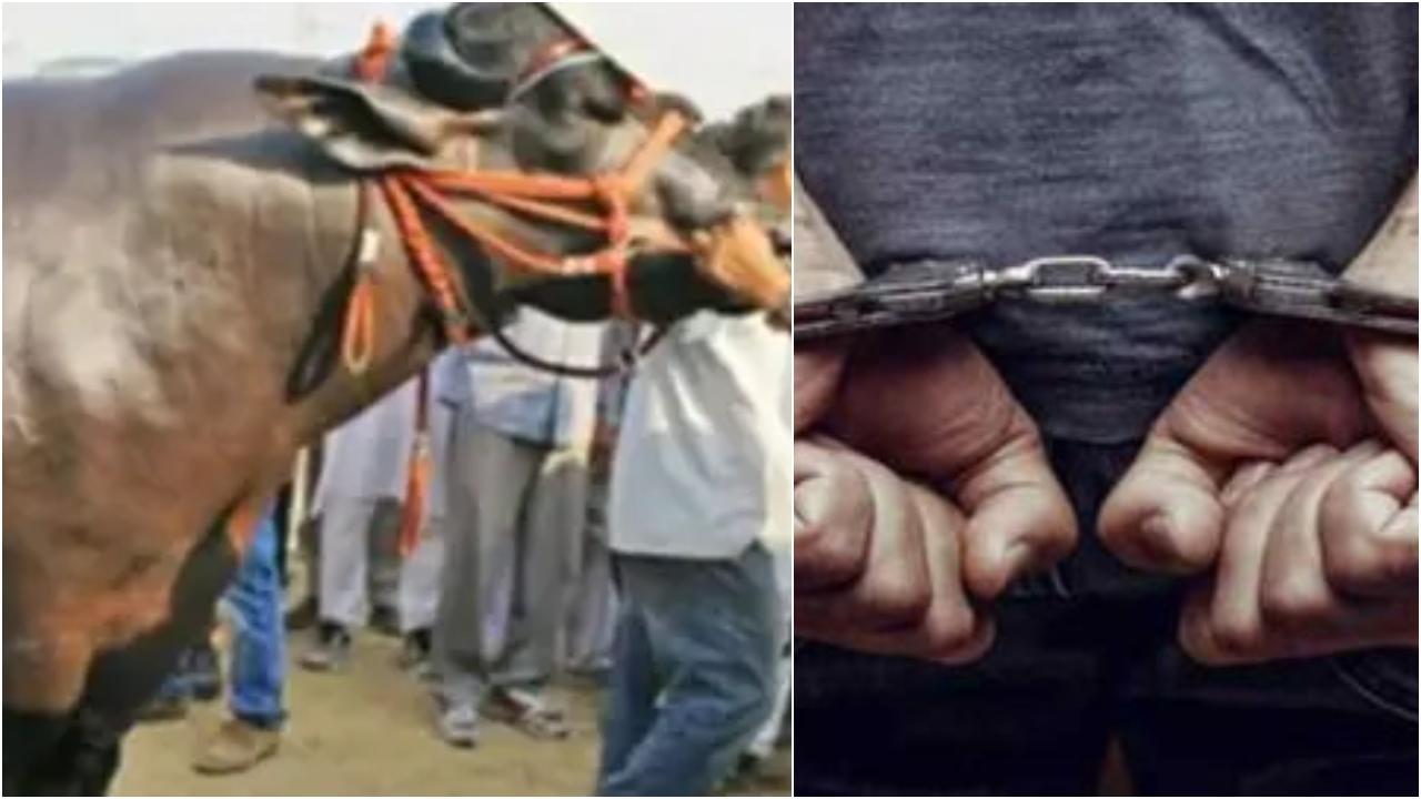 પ્રતીકાત્મક ફાઈલ તસવીર