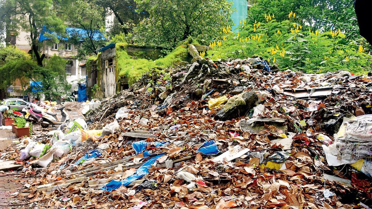 ફાઇલ તસવીર