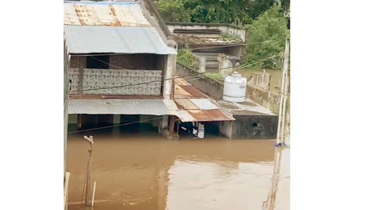 જૂના દીવા ગામમાં આવેલા શિક્ષક વિનોદ મૈસૂરીના ઘર પાસે ભરાયેલાં નર્મદા નદીનાં પાણી.