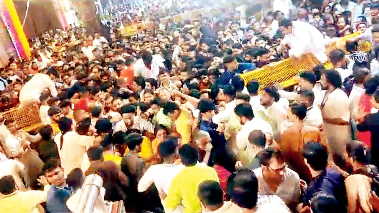 તસવીર સૌજન્ય : સોશ્યલ મીડિયા