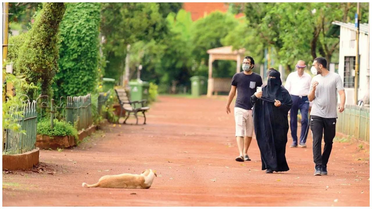  હેંગિંગ ગાર્ડન્સ