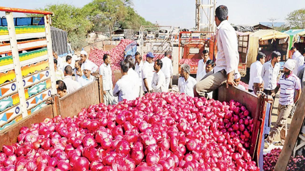 ફાઇલ તસવીર