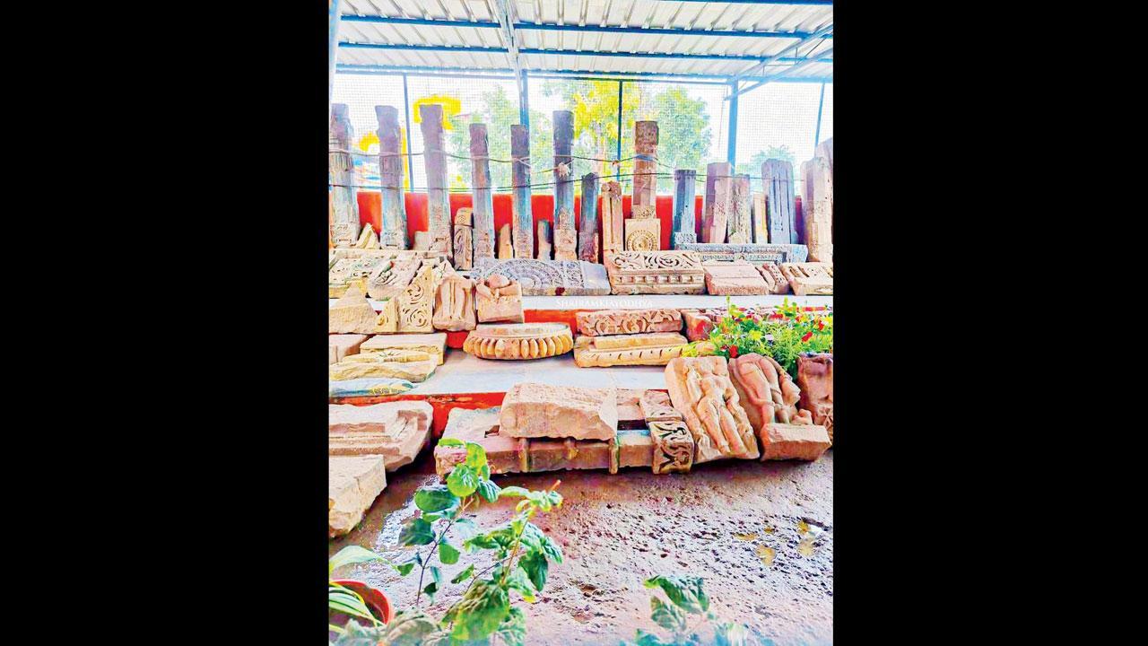 મંદિરના નિર્માણ દરમ્યાન ખોદકામમાં મળેલી મૂર્તિઓ અને સ્તંભ