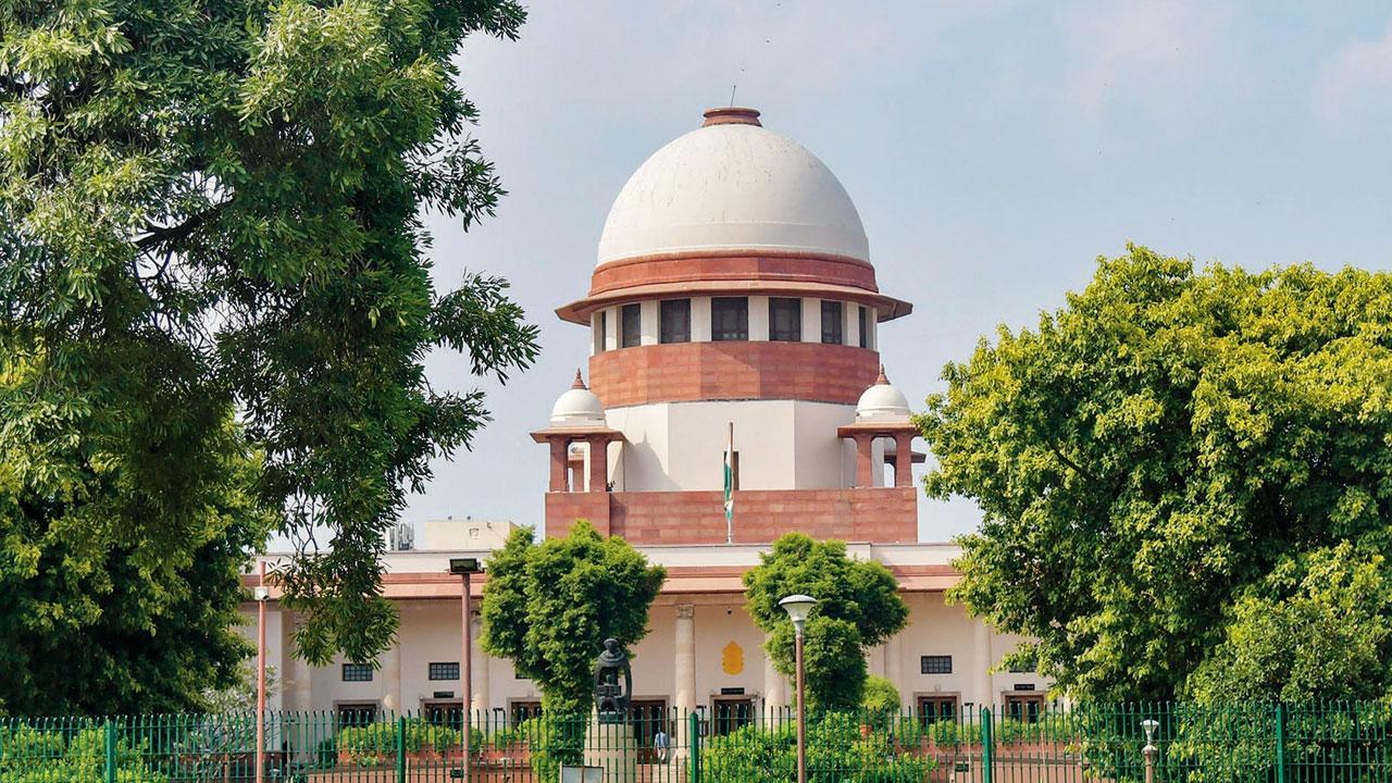 ફાઇલ તસવીર