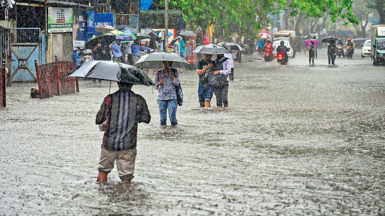 વરસાદી માહોલની પ્રતીકાત્મક તસવીર