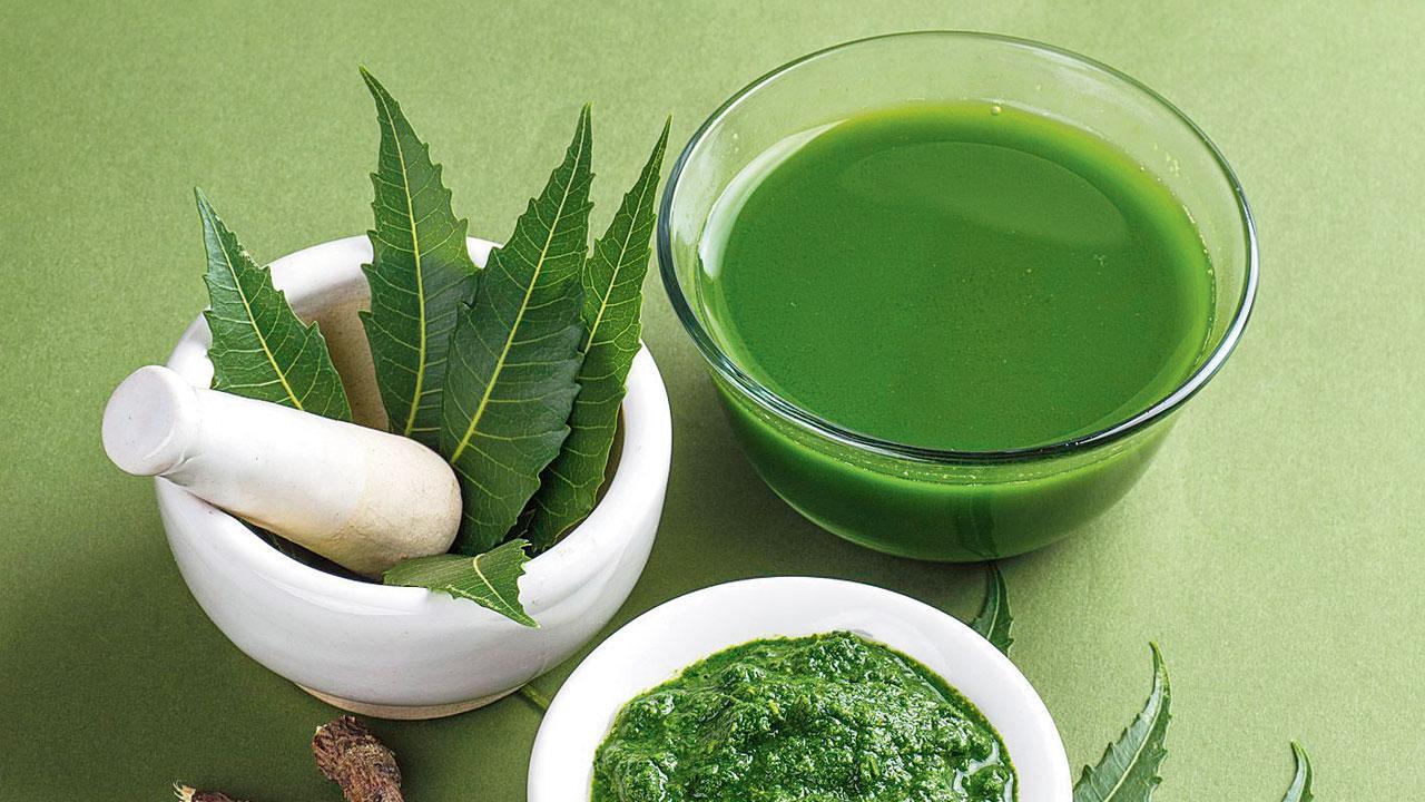 પ્રતીકાત્મક તસવીર 