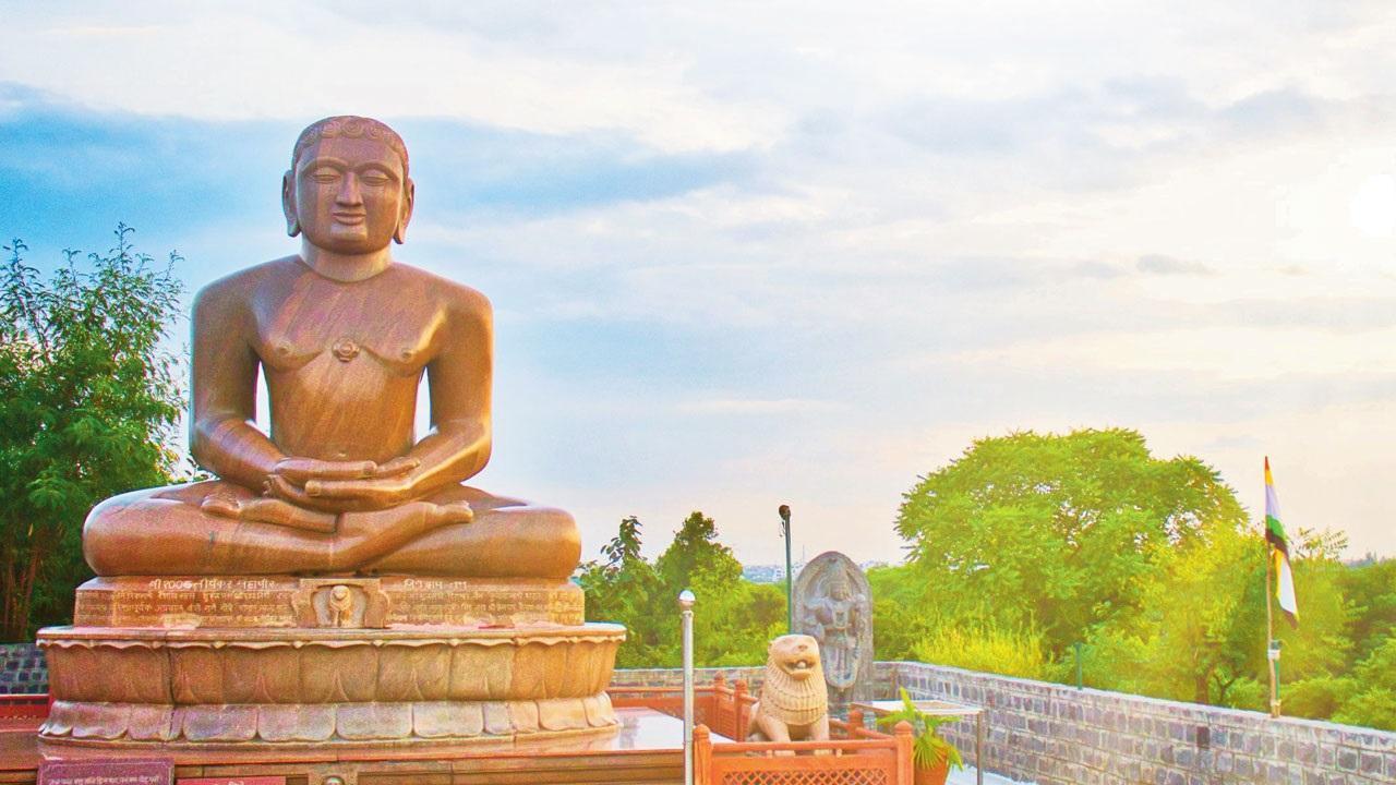 ફાઇલ તસવીર