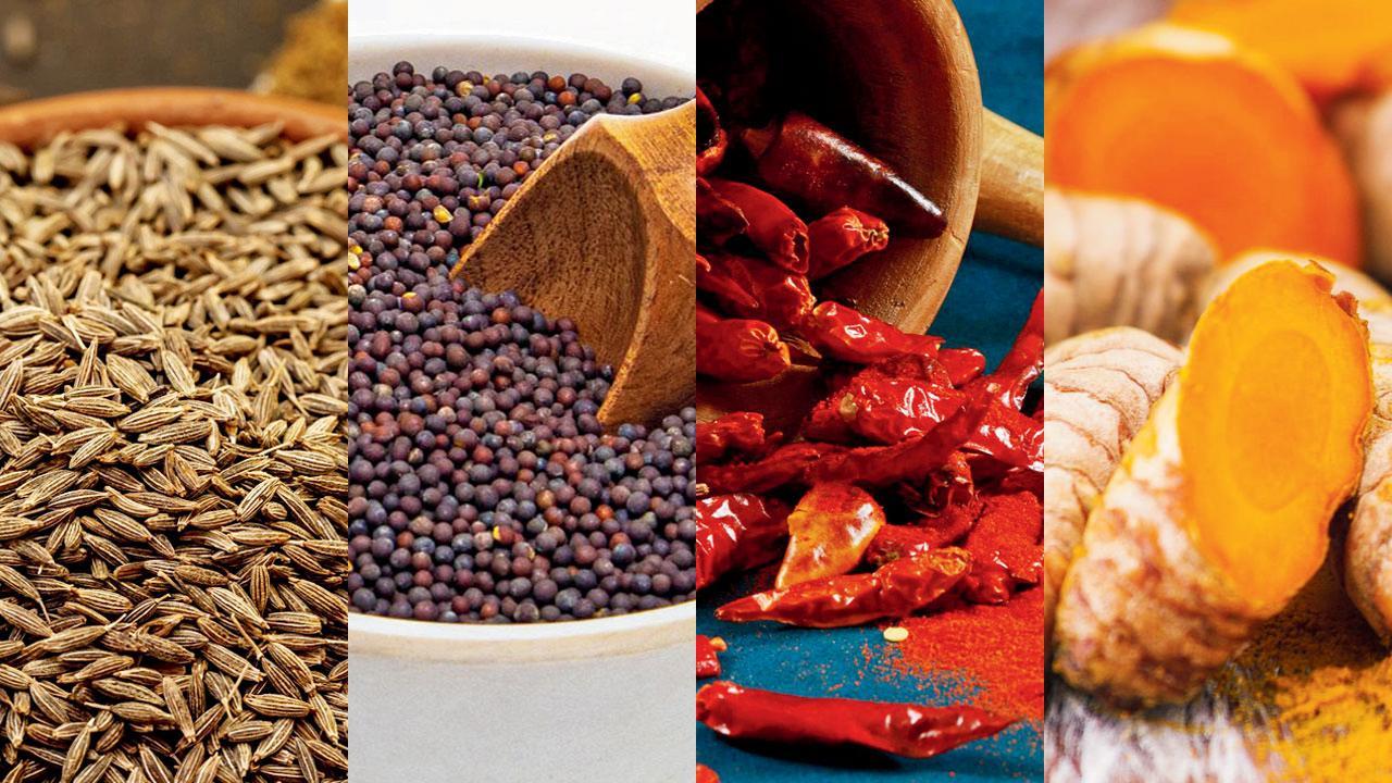 પ્રતીકાત્મક તસવીર 