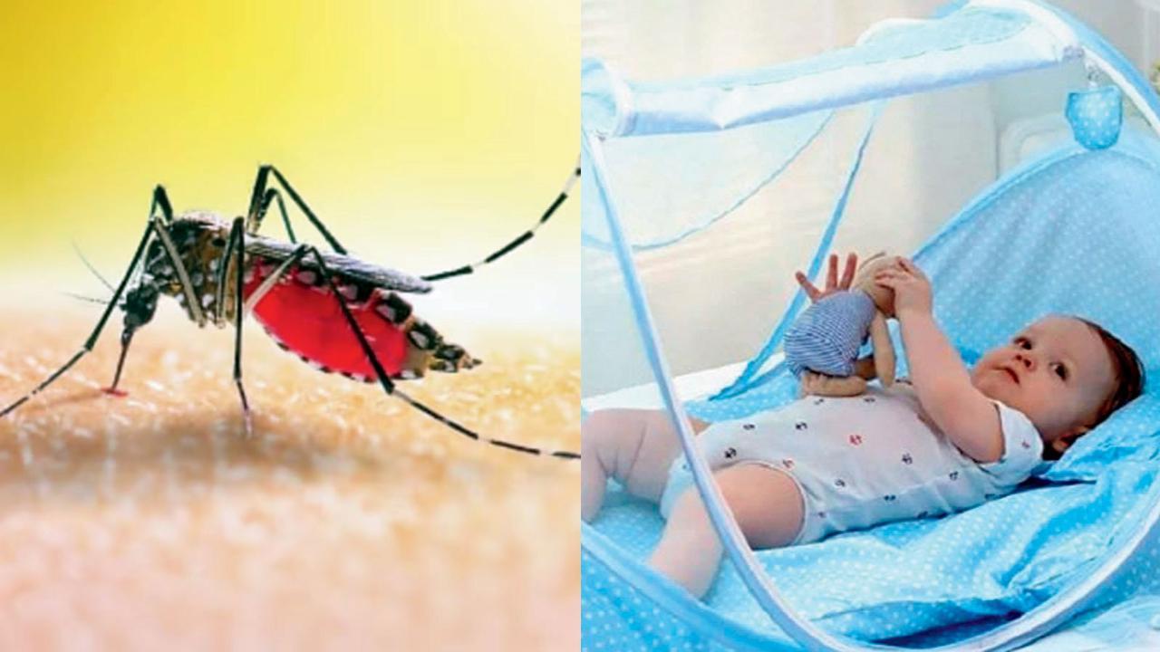 પ્રતીકાત્મક તસવીર 