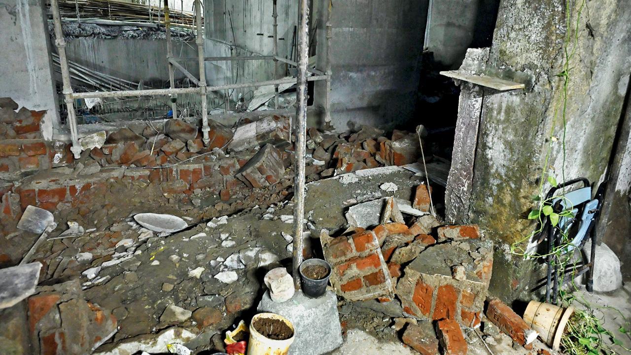 તસવીર : આશિષ રાજે