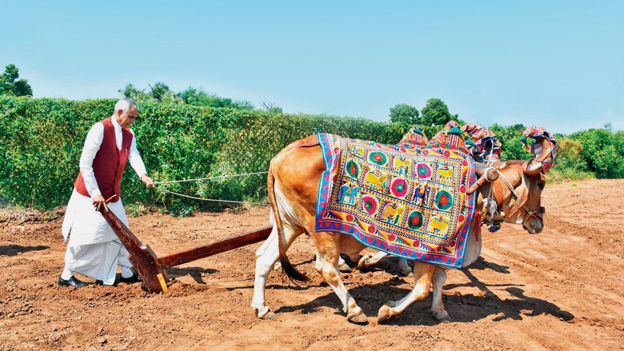 આચાર્ય દેવવ્રત
