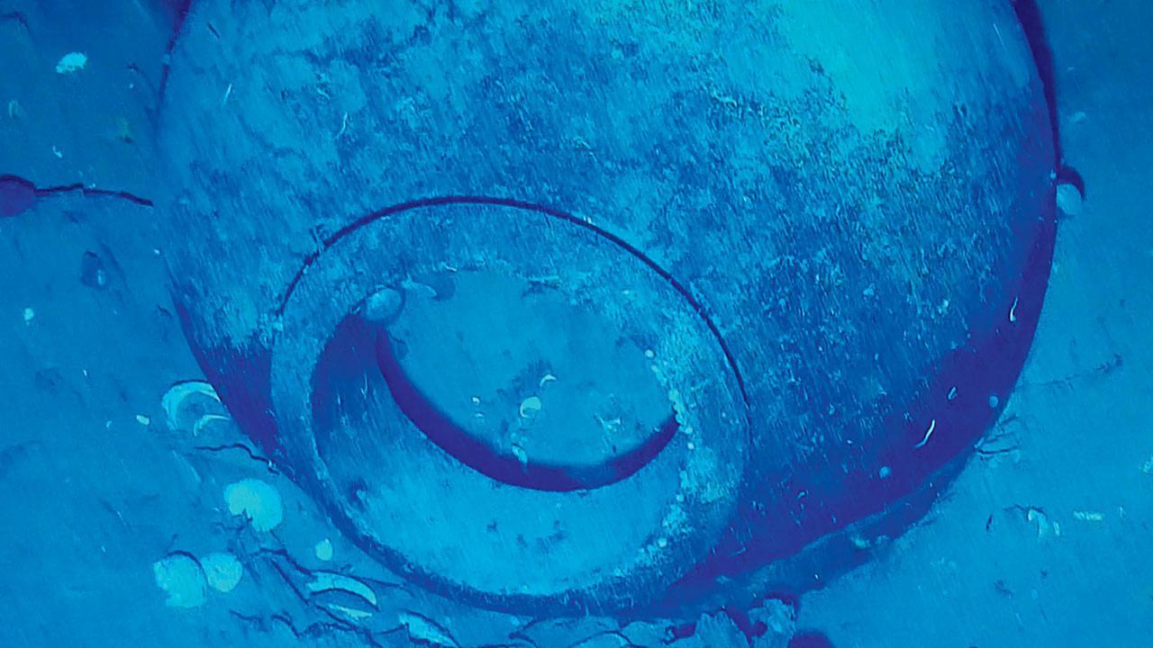 અવશેષ
