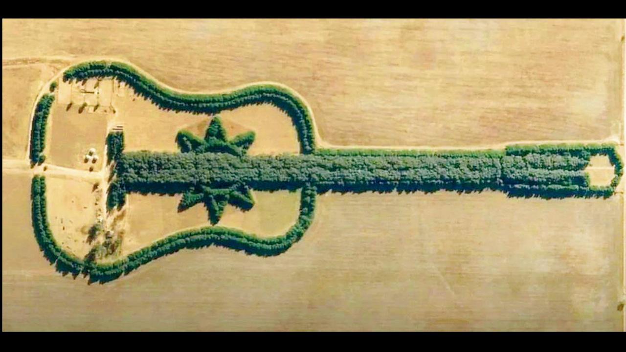 તસવીર સૌજન્ય : સોશ્યલ મીડિયા