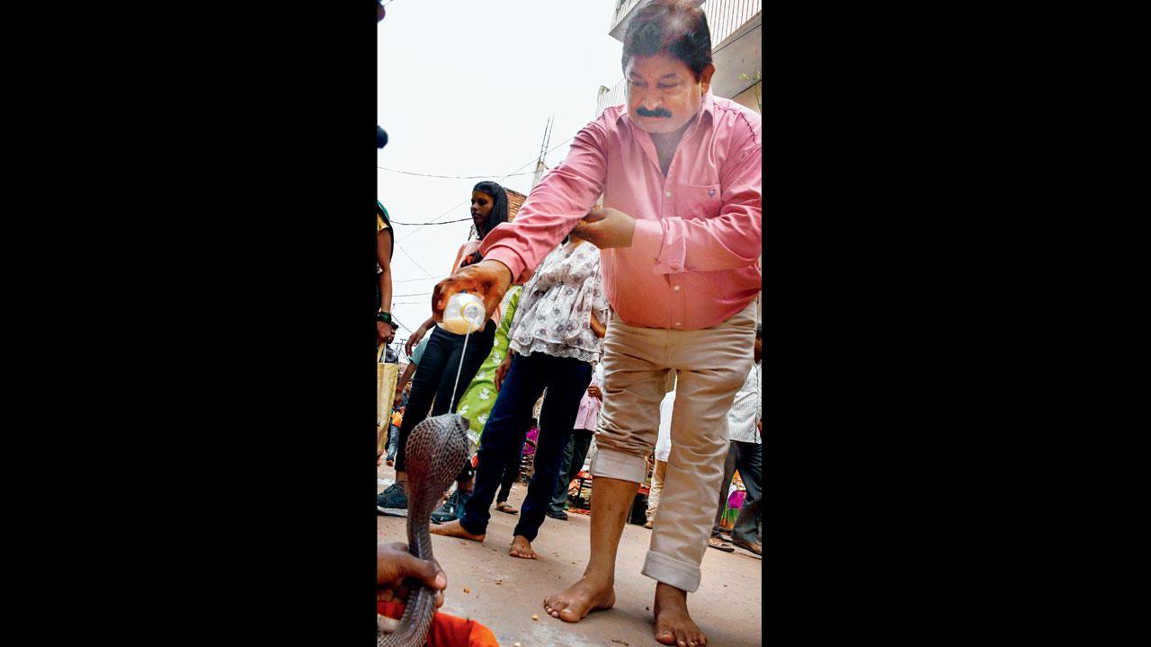 વાયરલ વીડિયોમાંથી સ્ક્રીન શૉટ