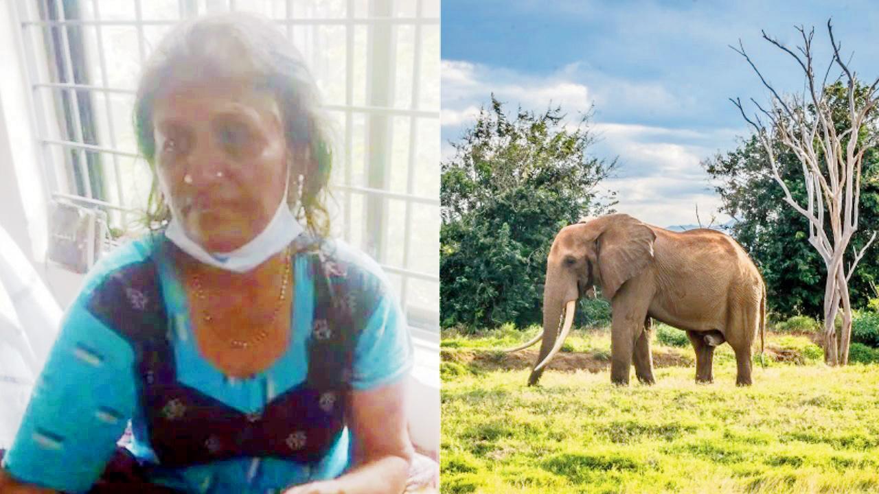 તસવીર સૌજન્ય : સોશ્યલ મીડિયા