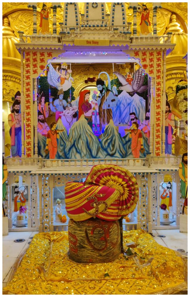 શ્રાવણ મહિનામાં ચોક્કસ નિર્ધારિત દિવસોમાં બાબુલનાથ મંદિરમાં ખાસ વિશિષ્ટ ‘ઘી પૂજા’ કરવામાં આવે છે