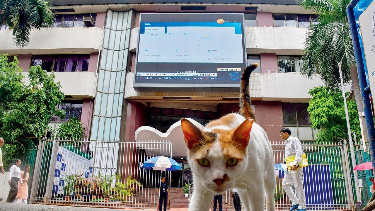 શૅરબજારોની તેજીના માર્ગમાં બિલાડી આડી ઊતરી? ગઈ કાલે બૉમ્બે સ્ટૉક એક્સચેન્જની બહાર કૅમેરામાં ઝડપાયેલાં બિલ્લીબહેન