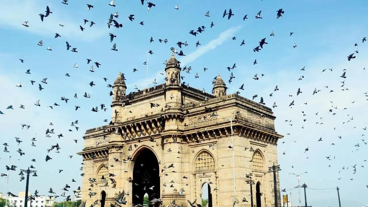 ફાઇલ તસવીર