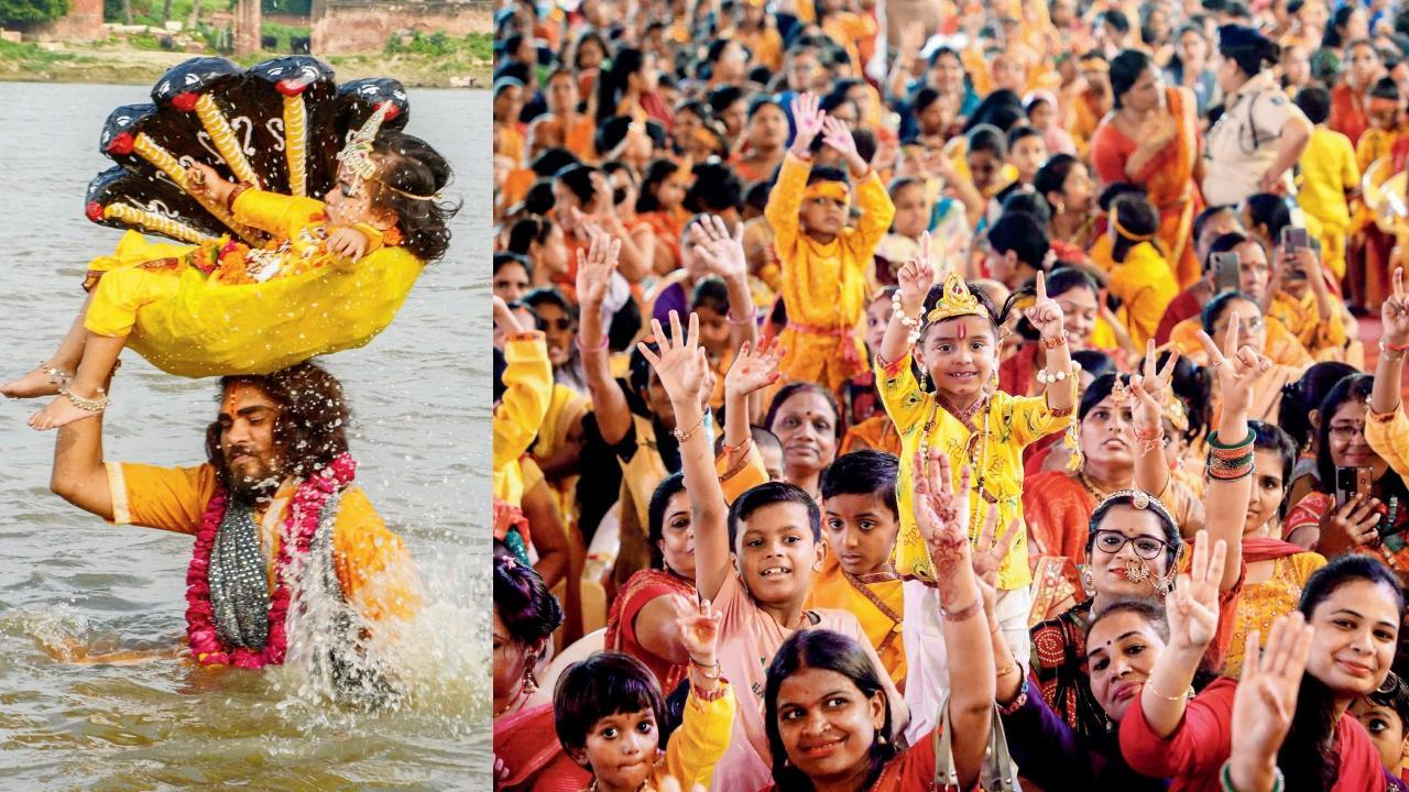 ઉજવણીની ક્ષણો