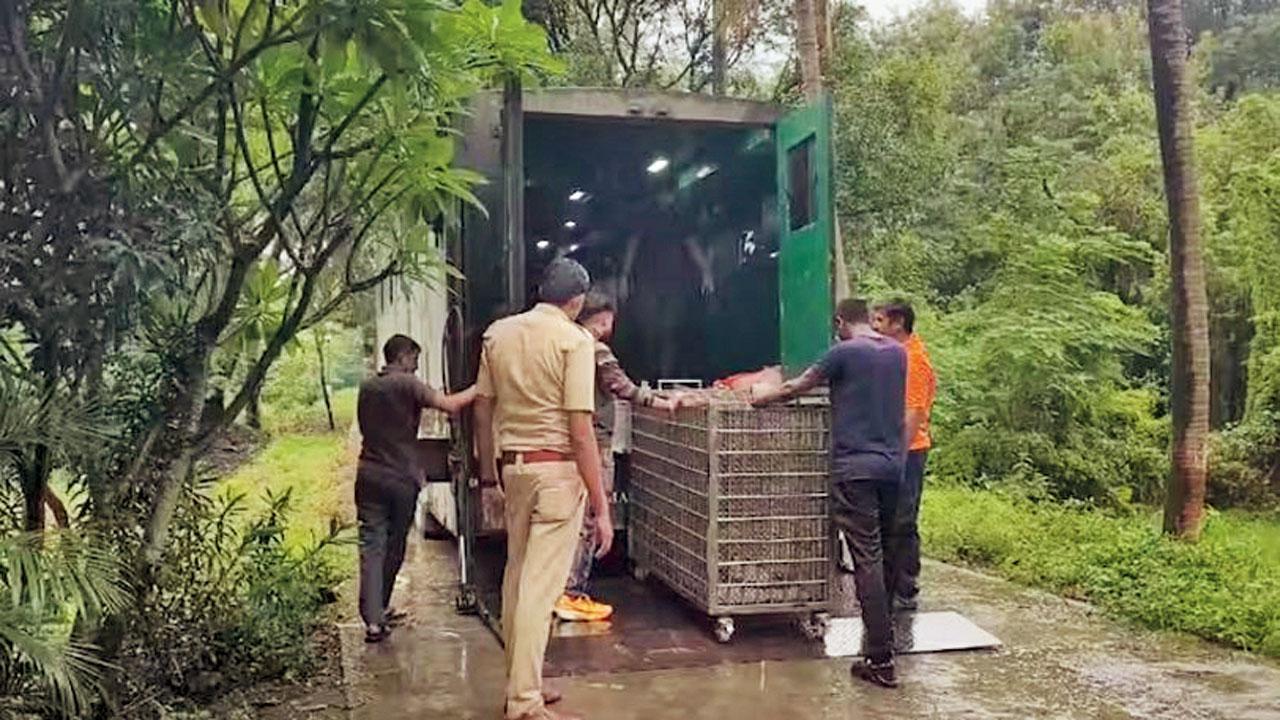 જુન્નર
