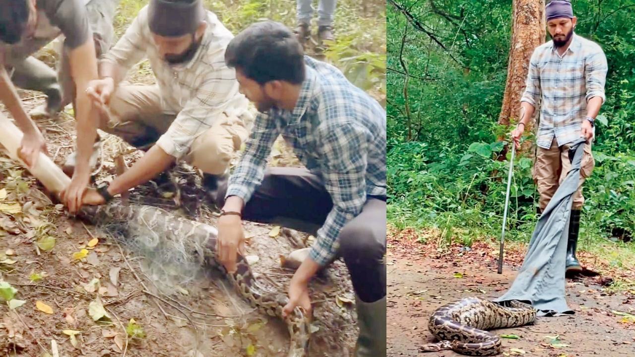 વાયરલ વીડિયોમાંથી સ્ક્રીન શૉટ