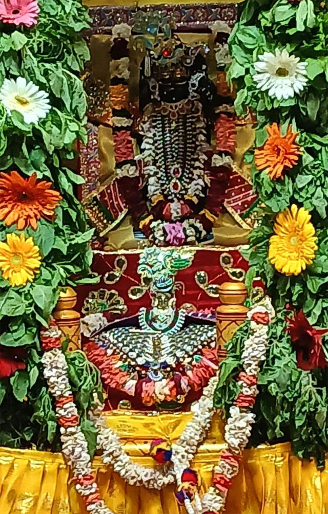 મહાવીરનગરની શ્રી ગોવર્ધનનાથજી હવેલીમાં આજે તુલસીપત્રનાં વિશેષ હિંડોળાનો મનોરથ કરવામાં આવ્યો હતો.