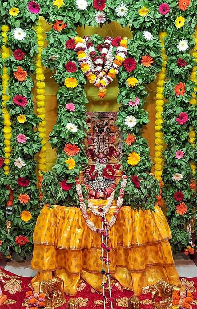 કુલ ૧૦૦ જેટલી તુલસીપત્રોની ઝૂડીઓનો ઉપયોગ કરવામાં આવ્યો હતો.